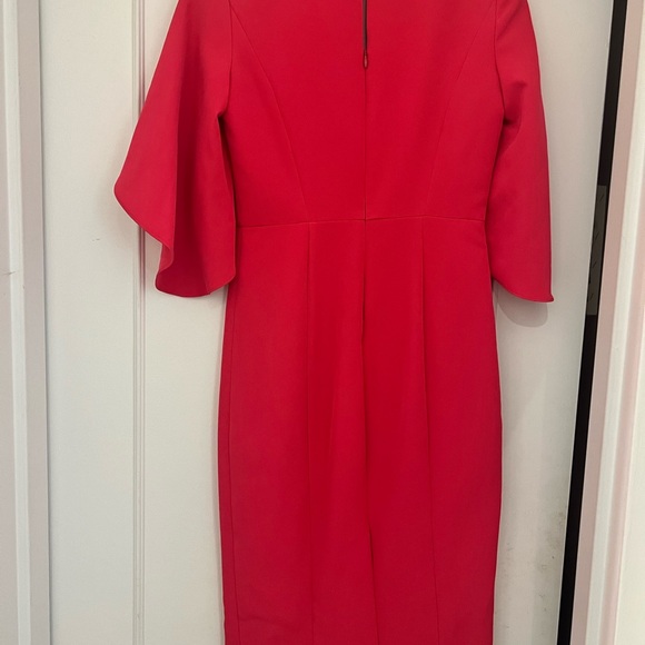 Jana Flutter-Sleeve Sheath - Picture 5 of 5